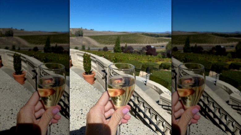 Hand holding glass of sparkling wine at a California vineyard