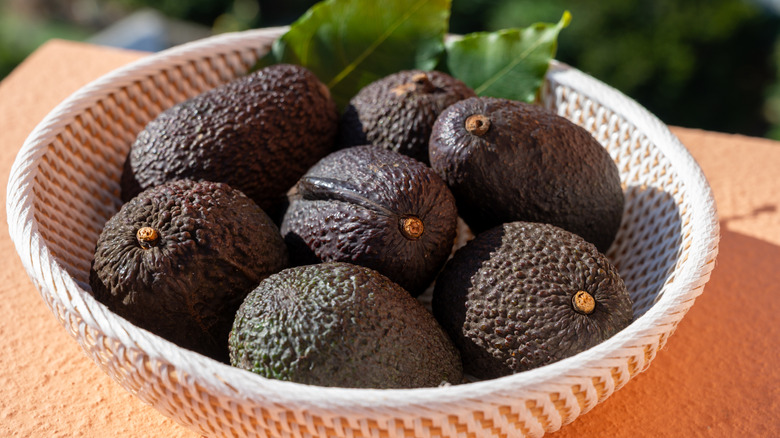 A bowl of avocados