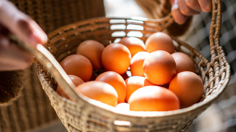 Someone holding a basket full of fresh eggs