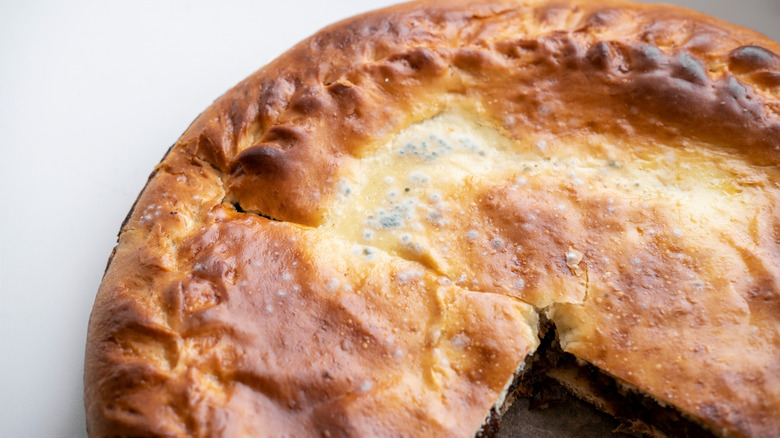 A meat pie with mold growing on top
