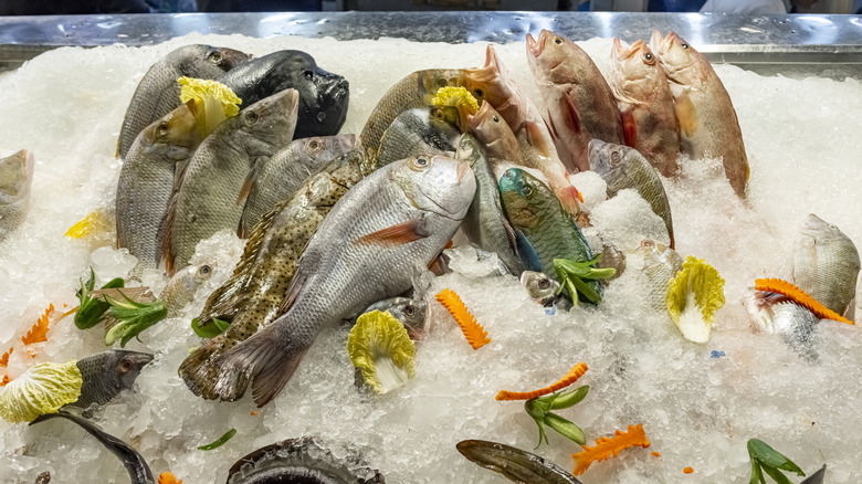Lots of different types of fish being held on ice.
