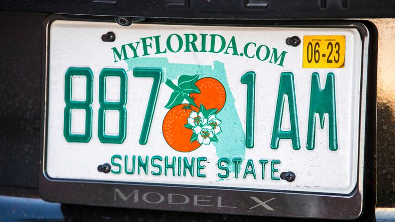 Florida license plate with oranges featured on it