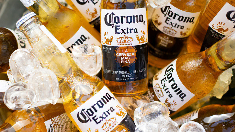 a bucket of icy Corona beer