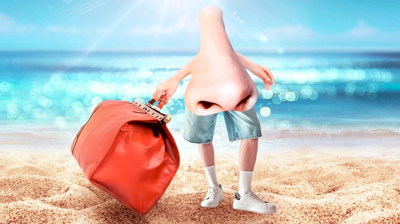 A collage-style photo of a nose on a beach holding a bag