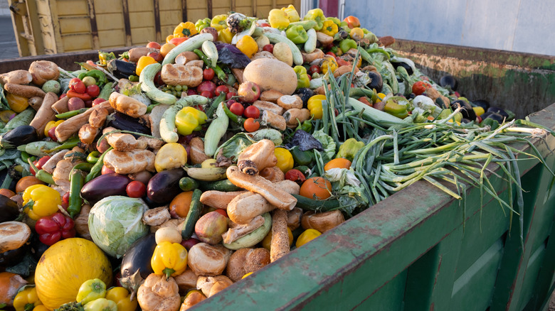 Tons of thrown-away food in a big dumpster