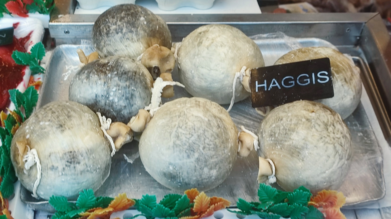 Traditional haggis on tray