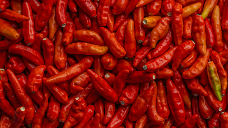 A pile of fresh ghost peppers