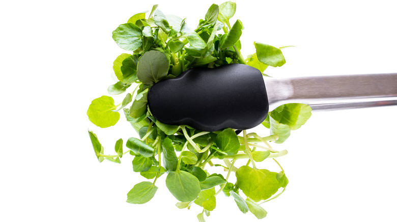 Salad tongs with black rubber ends grip delicate greens