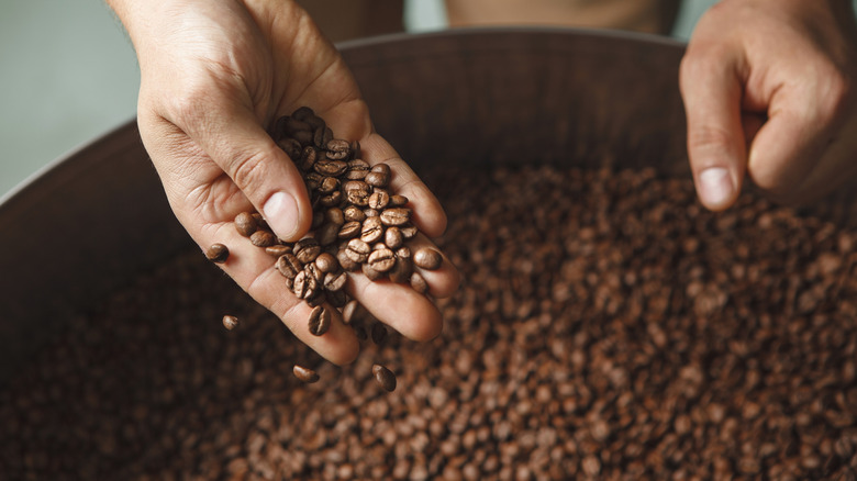 Hand holding roasted coffee beans