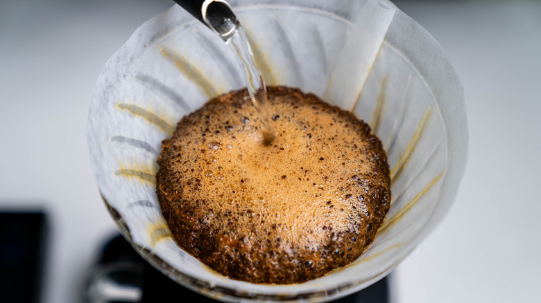 blooming coffee grounds in paper filter
