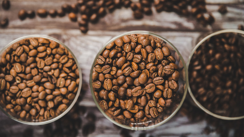An aerial view of three cups filled with different roasts of coffee beans.