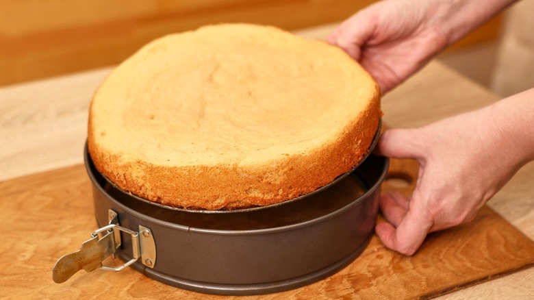 Person removing cake from springform pan