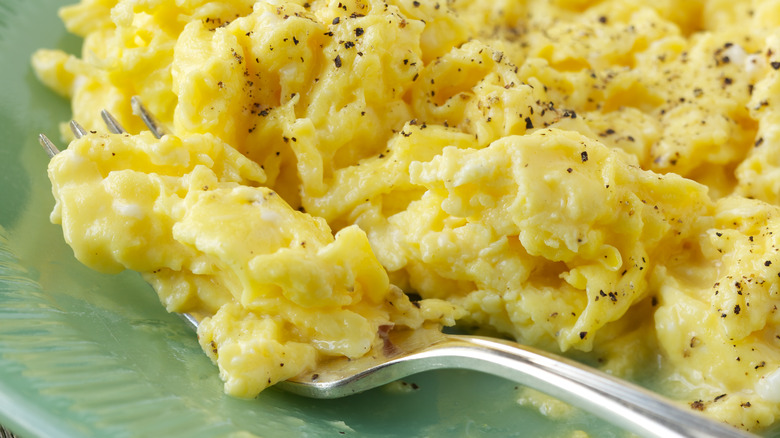 Plate of scrambled eggs with fork