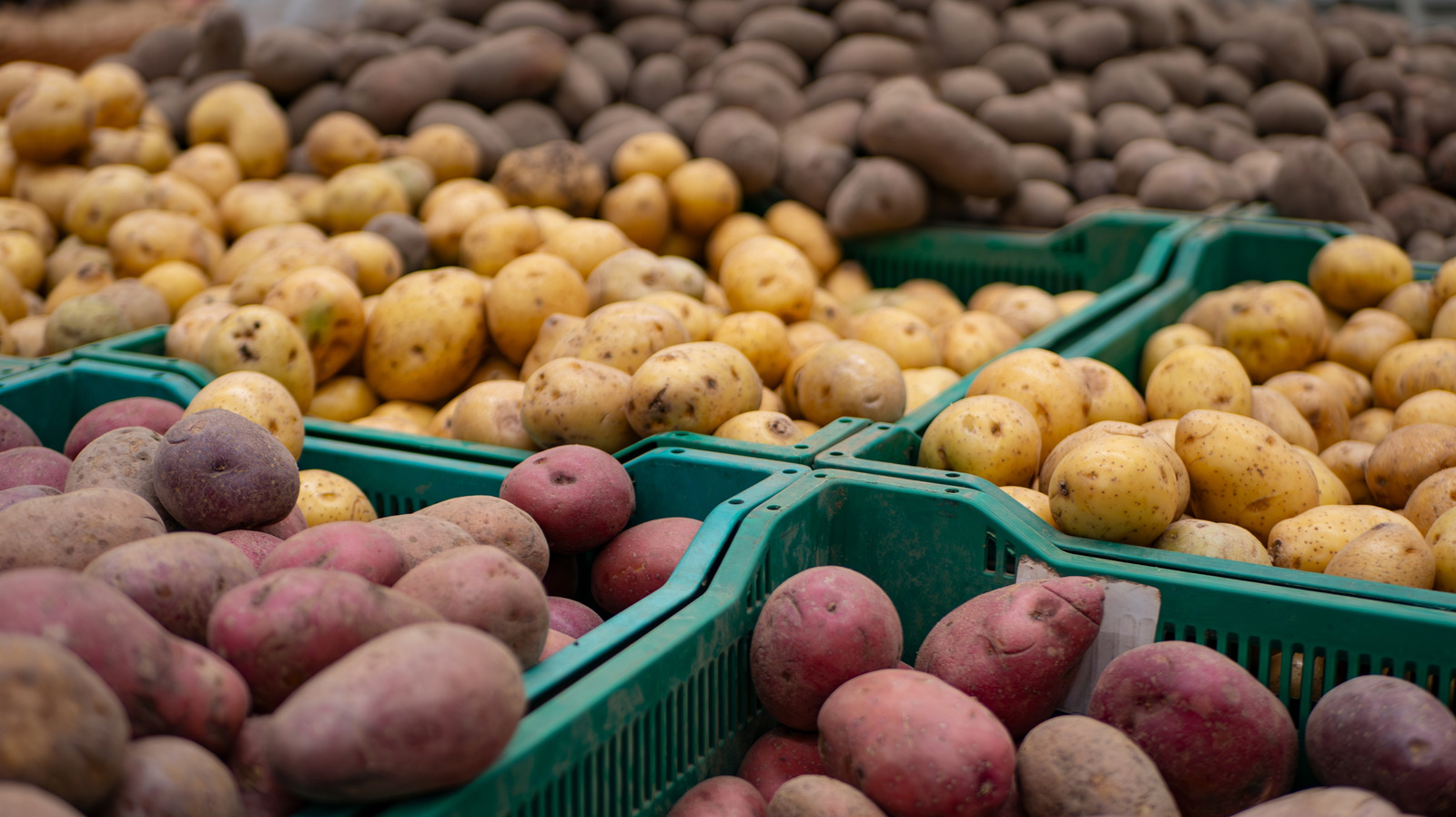 For The Most Nutritious Potatoes Always Look For This One Sign - The Takeout