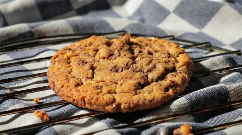 One cookie on wire rack close up