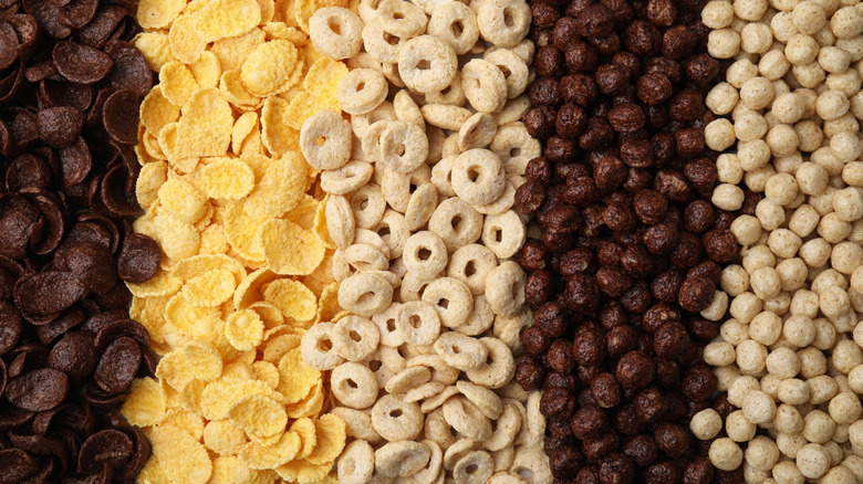 Close-up of different types of breakfast cereal
