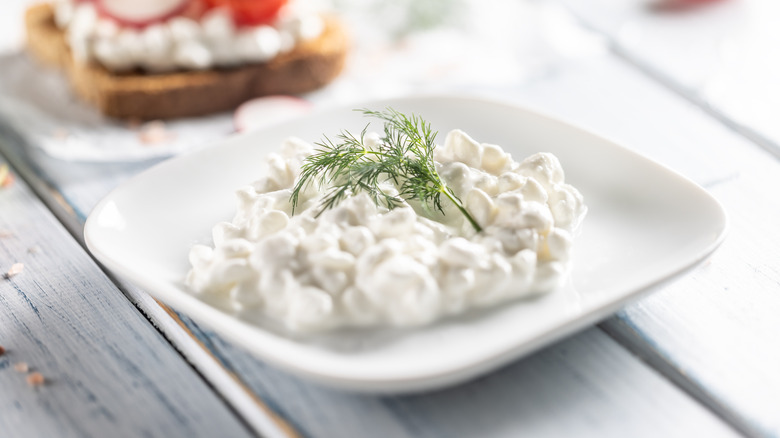 Cottage cheese in a small white dish with a sprig of fresh dill