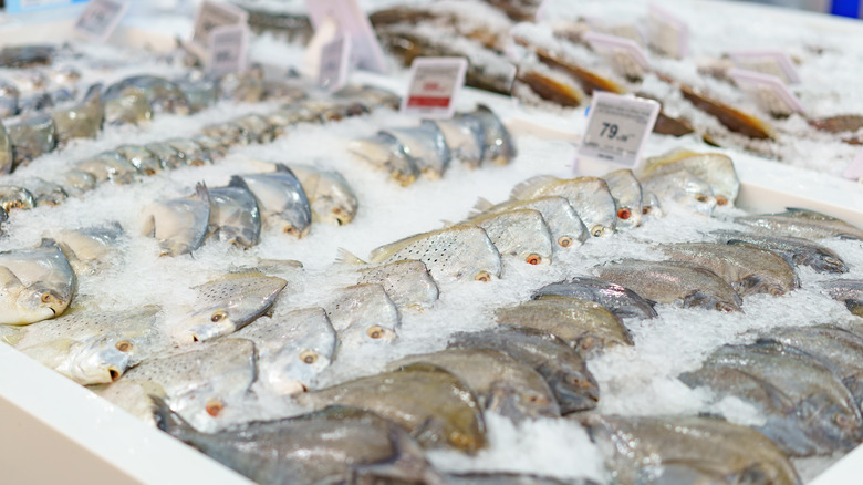 A variety of fish on ice at a store.