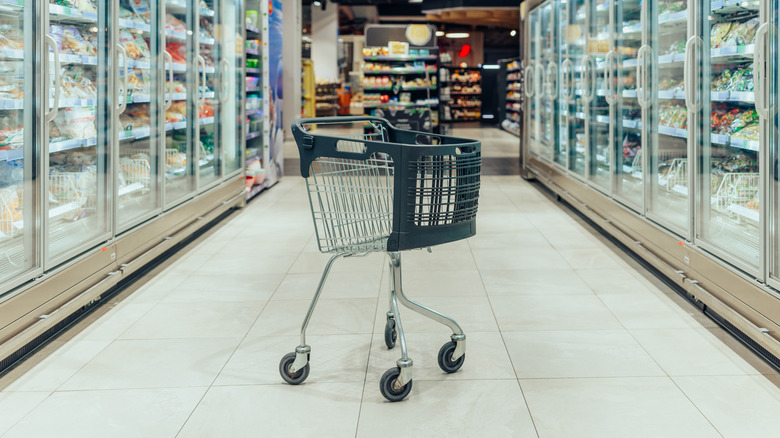 An empty shopping cart sitting in the middle of a frozen food aisle.