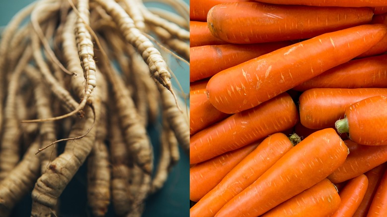 Wild carrots next to cultivated carrots