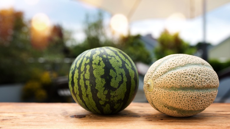 Two whole melons on a wooden table. Watermelon and canteloupe