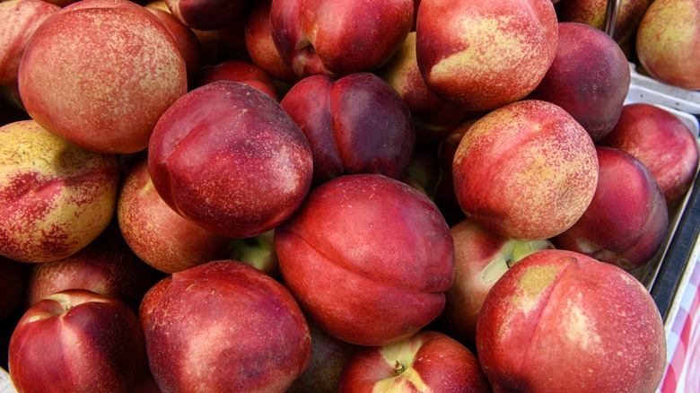 Close-up of a bunch of nectarines