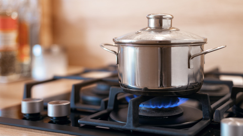 Pot on gas stove