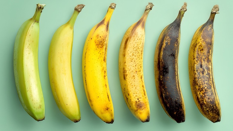 six bananas going from unripe to overripe lined up on a light green background