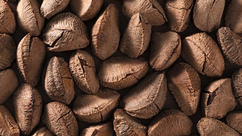 A close-up view of whole Brazil nuts in their rough, hard brown shells.