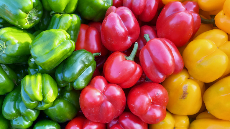 green, red, and yellow bell peppers in rows