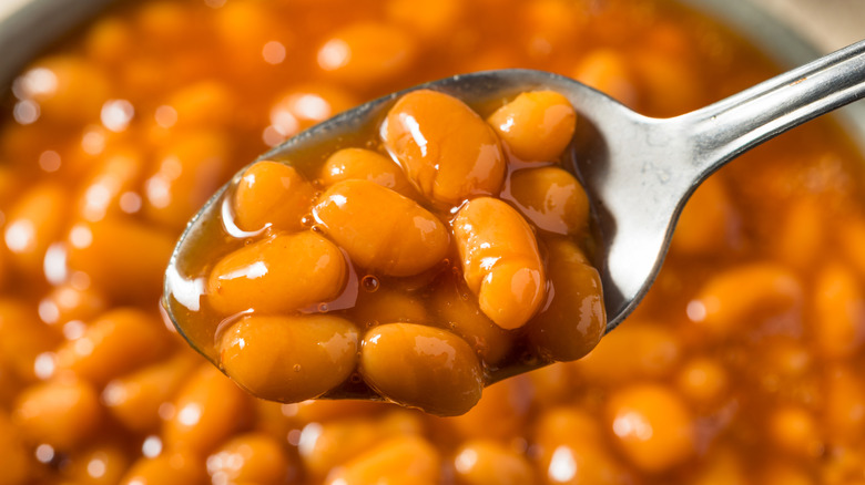 Spoonful of baked beans
