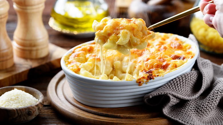 hand holding a spoonful of macaroni and cheese above a white oval bowl