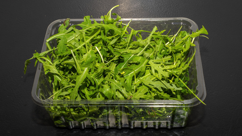 Fresh arugula in a pllastic container
