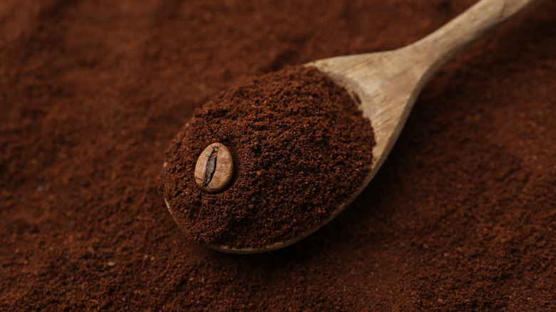 coffee grounds on spoon