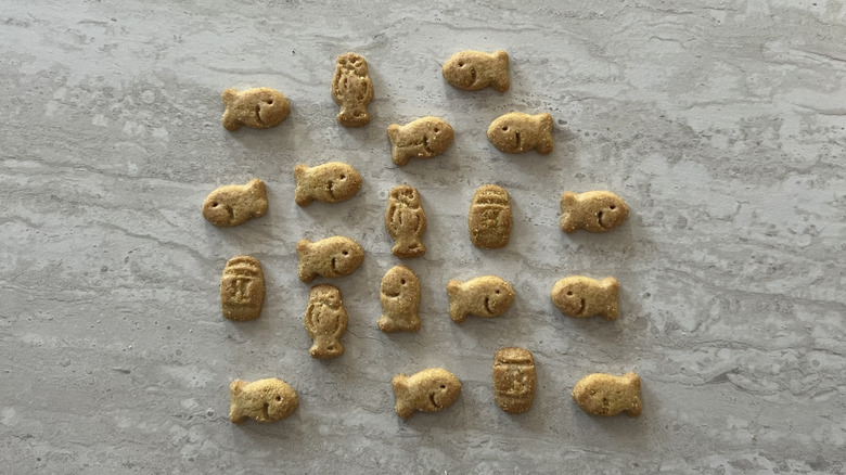 Pattern of Goldfish Butterbeer Flavored Grahams