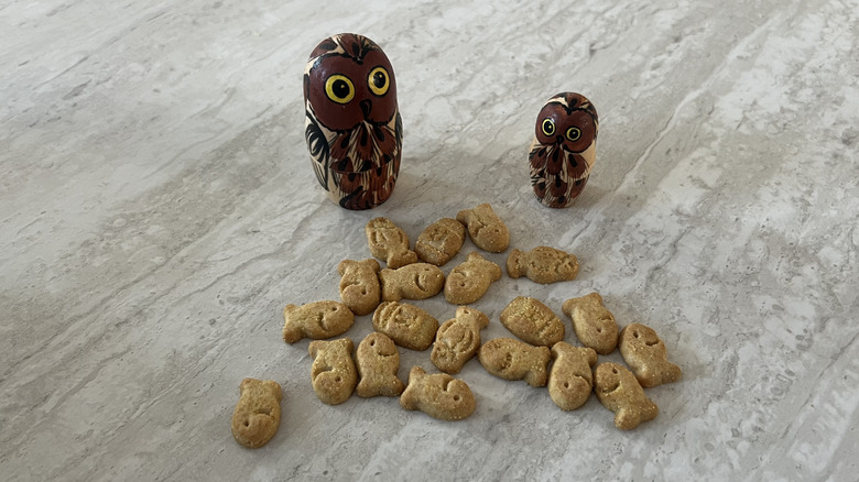 Two owls look at a pile of Goldfish Butterbeer Flavored Grahams