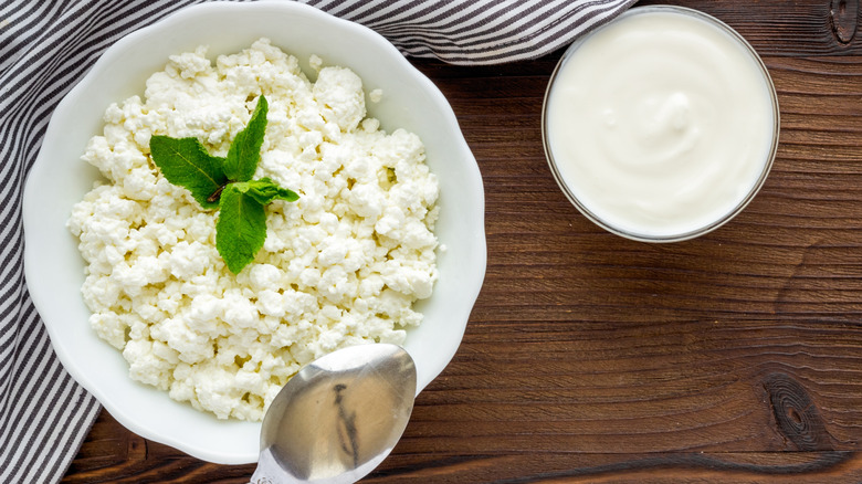 White bowl with cottage cheese and sprig of dill on top