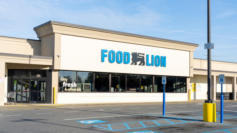 Food Lion storefront on sunny day