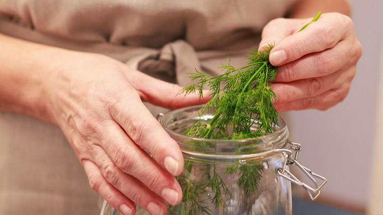 A person putting fresh dill into a large glass jar.