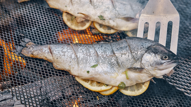 Whole fish sitting on lemon slices being cooked on the grill