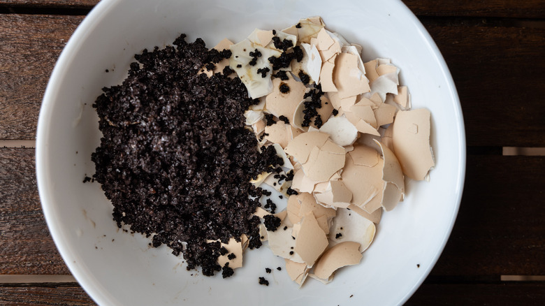 Bowl with coffee grounds and eggshells