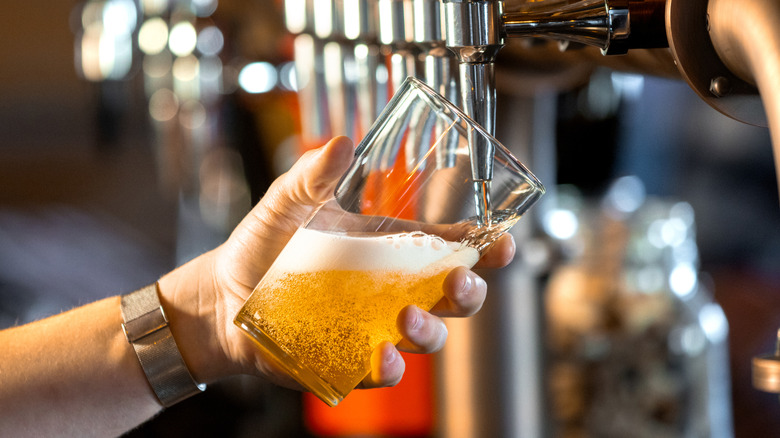 A bartender pouring a light beer from a tap