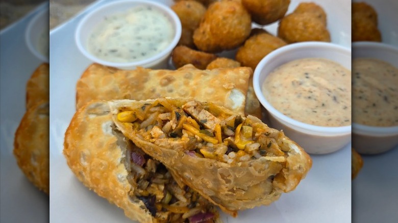 Vegan cheeseburger egg rolls and tater tots from Moody Mike's in Lexington, Kentucky