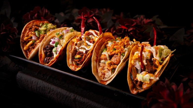 Vegan taco flight from Terror Tacos in Saint Louis, Missouri