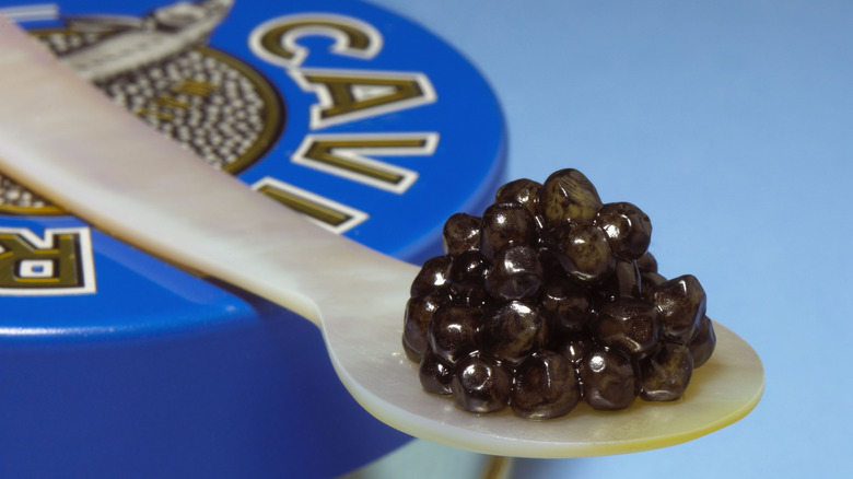 A spoon of black caviar on top of a blue container that says "caviar"