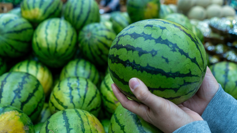 Hands holding a watermelon