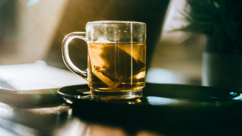 A sunlit glass mug of tea with a tea bag steeping in it