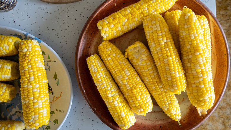 Shucked corn on the cob
