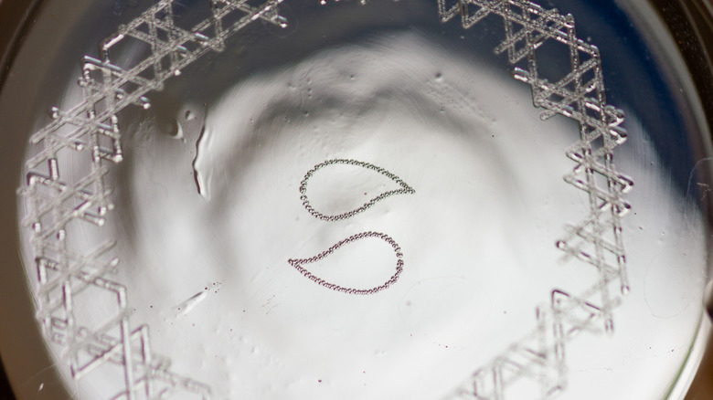 A close-up view of intricate etchings on the bottom of a beer glass