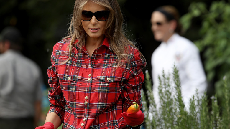 Melania Trump in a vegetable garden holding a pepper